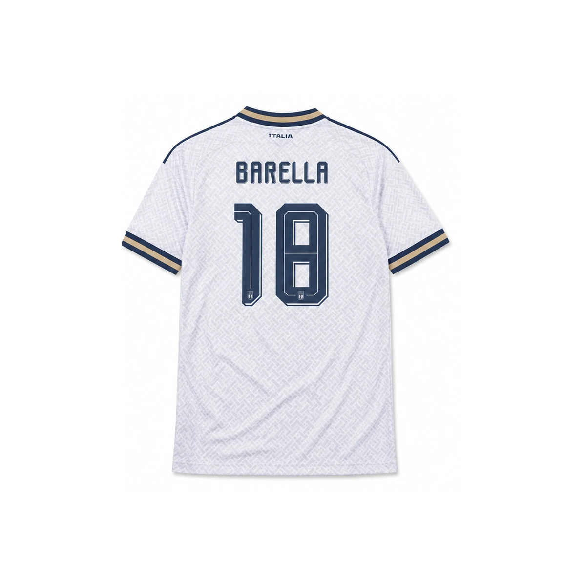 Nicolo Barella Back